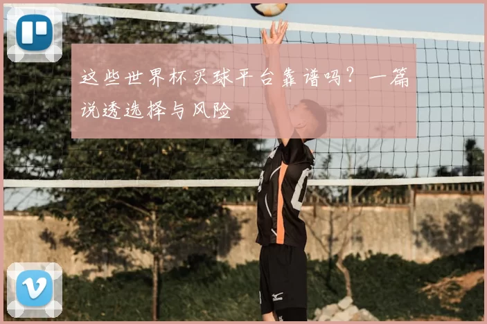 这些世界杯买球平台靠谱吗?一篇说透选择与风险