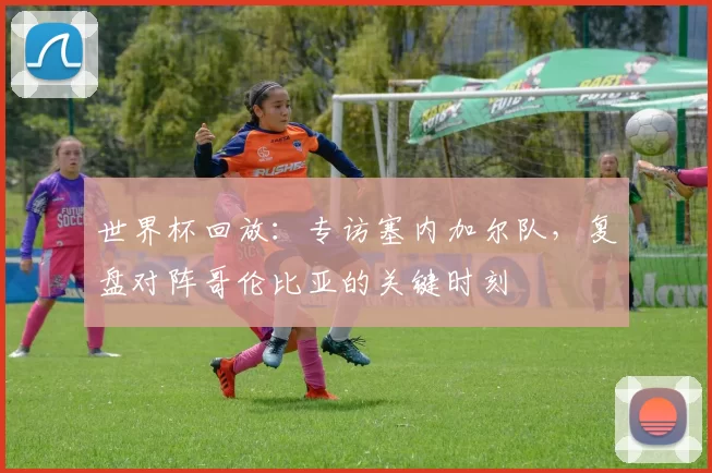 世界杯回放:专访塞内加尔队,复盘对阵哥伦比亚的关键时刻