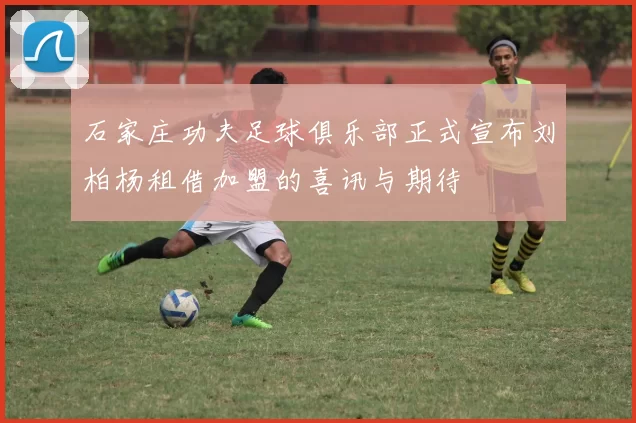 石家庄功夫足球俱乐部正式宣布刘柏杨租借加盟的喜讯与期待