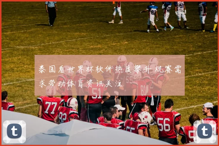泰国看世界杯软件热度攀升 观赛需求带动体育资讯关注