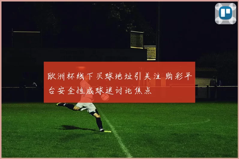 欧洲杯线下买球地址引关注 购彩平台安全性成球迷讨论焦点