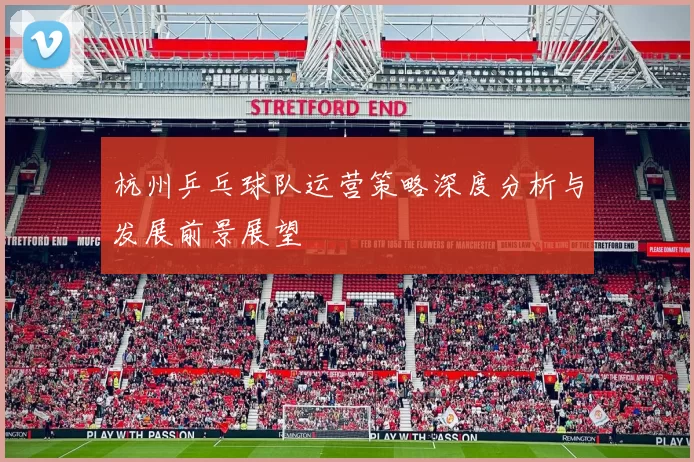 杭州乒乓球队运营策略深度分析与发展前景展望