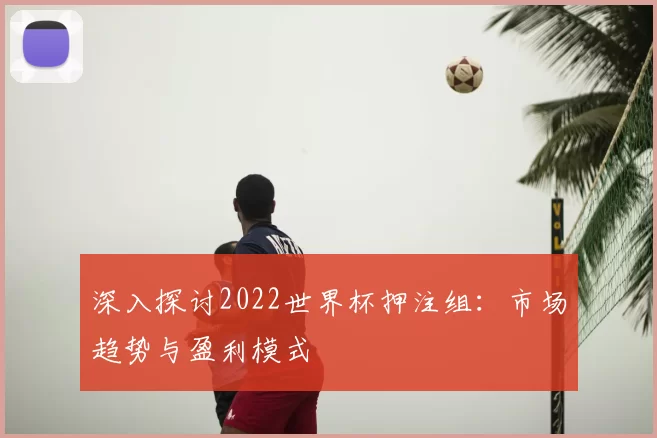 深入探讨2022世界杯押注组：市场趋势与盈利模式