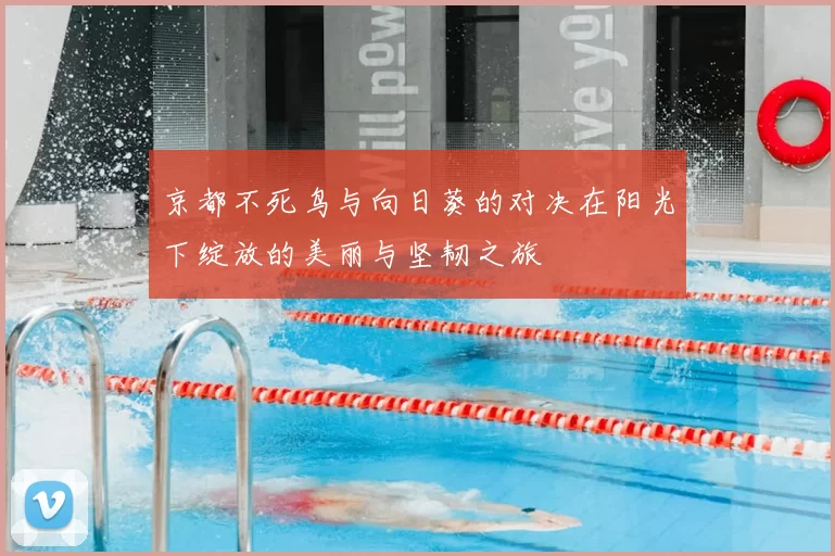 京都不死鸟与向日葵的对决在阳光下绽放的美丽与坚韧之旅
