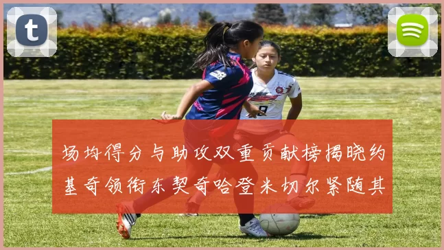 场均得分与助攻双重贡献榜揭晓约基奇领衔东契奇哈登米切尔紧随其后